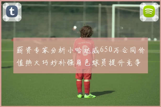 薪资专家分析小哈达威650万合同价值热火巧妙补强角色球员提升竞争力